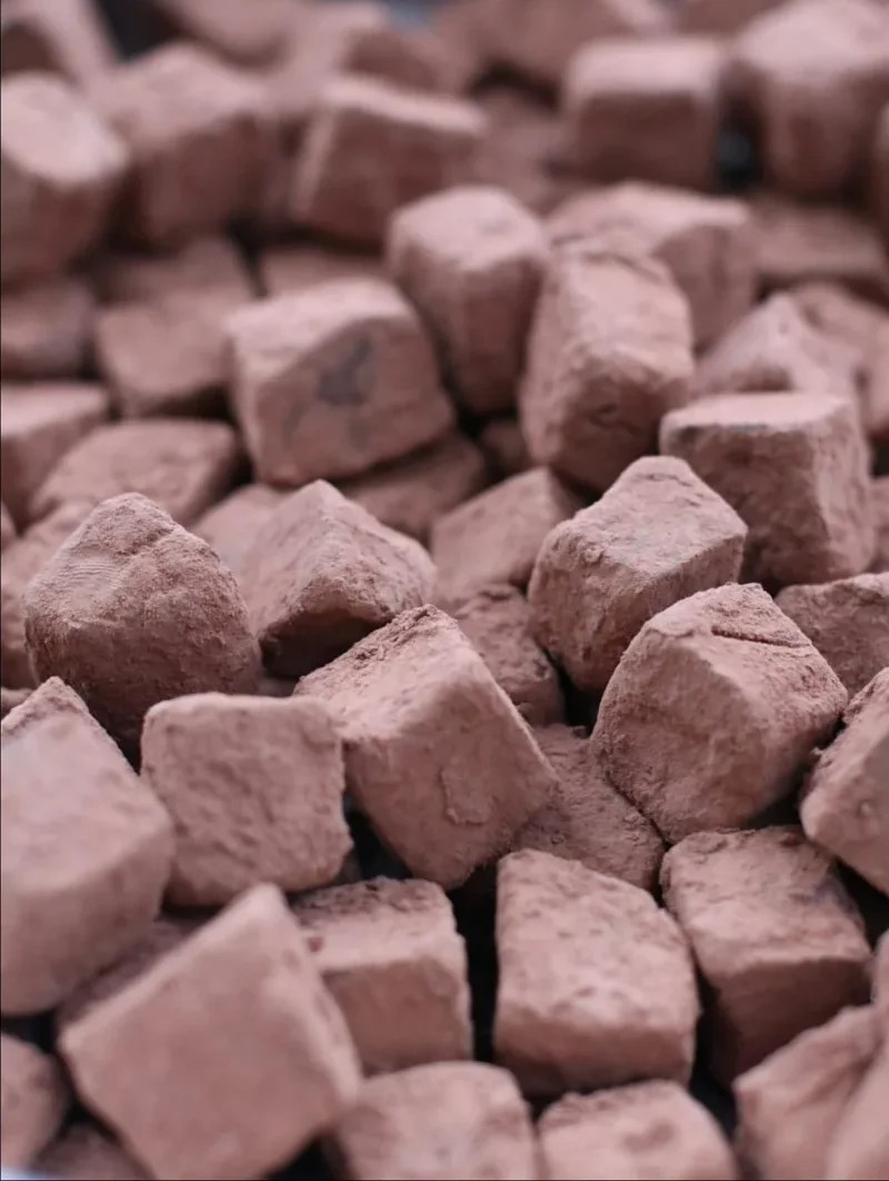 Truffes chocolat vegan : faciles et sans lactose